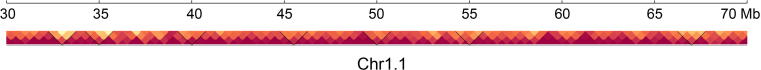 Supplementary Figure S6