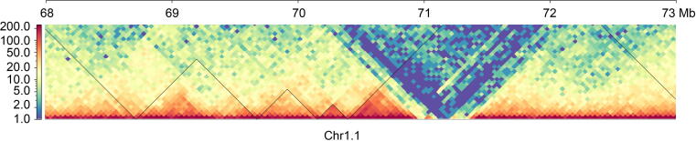 Supplementary Figure S8