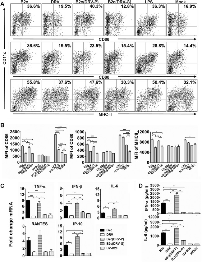 FIG 3