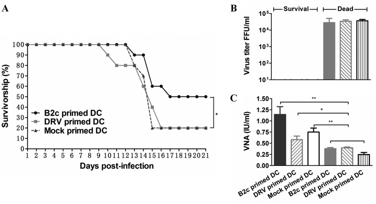 FIG 1