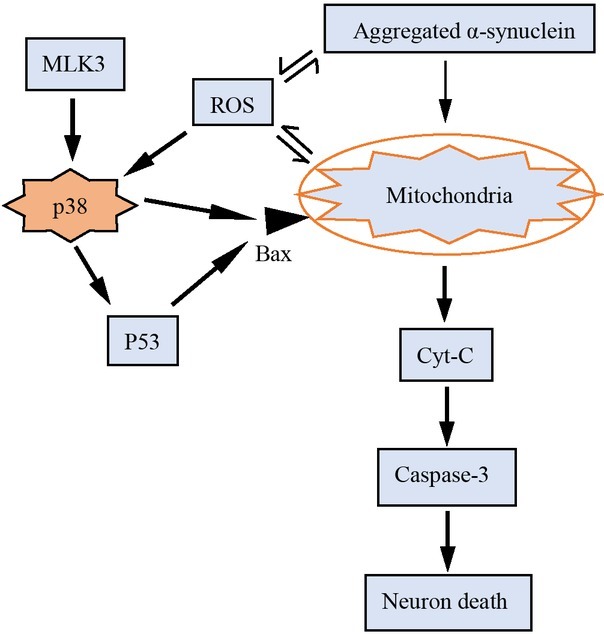 Fig 3