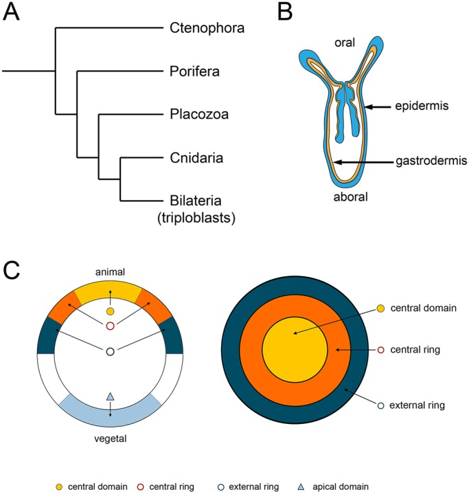 Fig. 1.