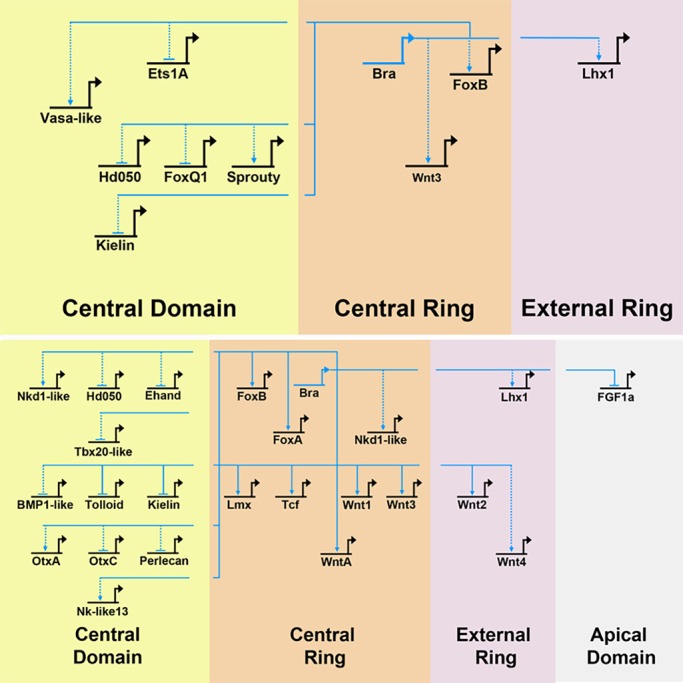 Fig. 6.