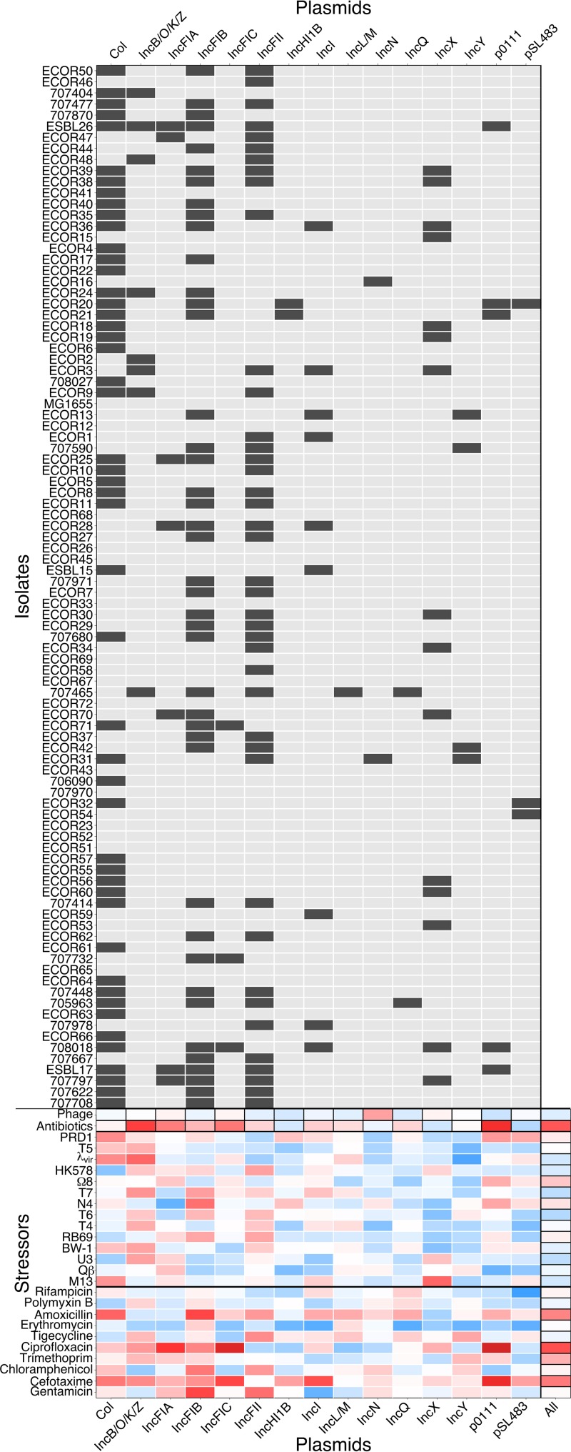 FIG 3 