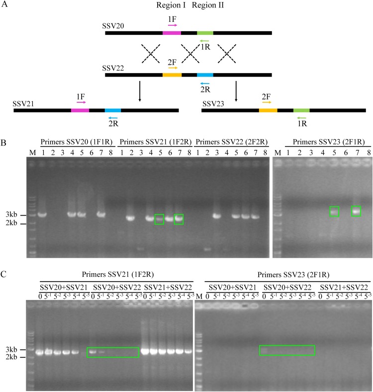 FIG 9