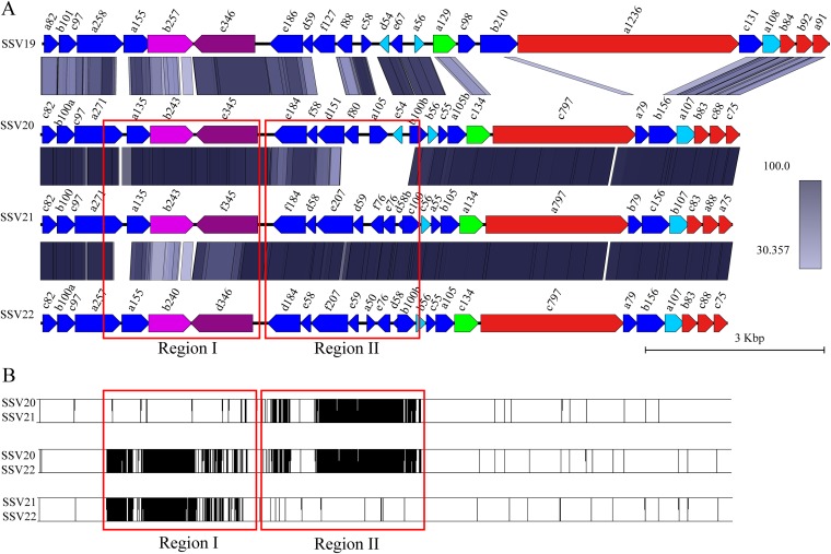 FIG 3