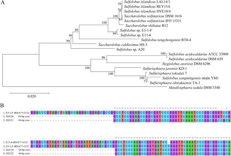 FIG 6