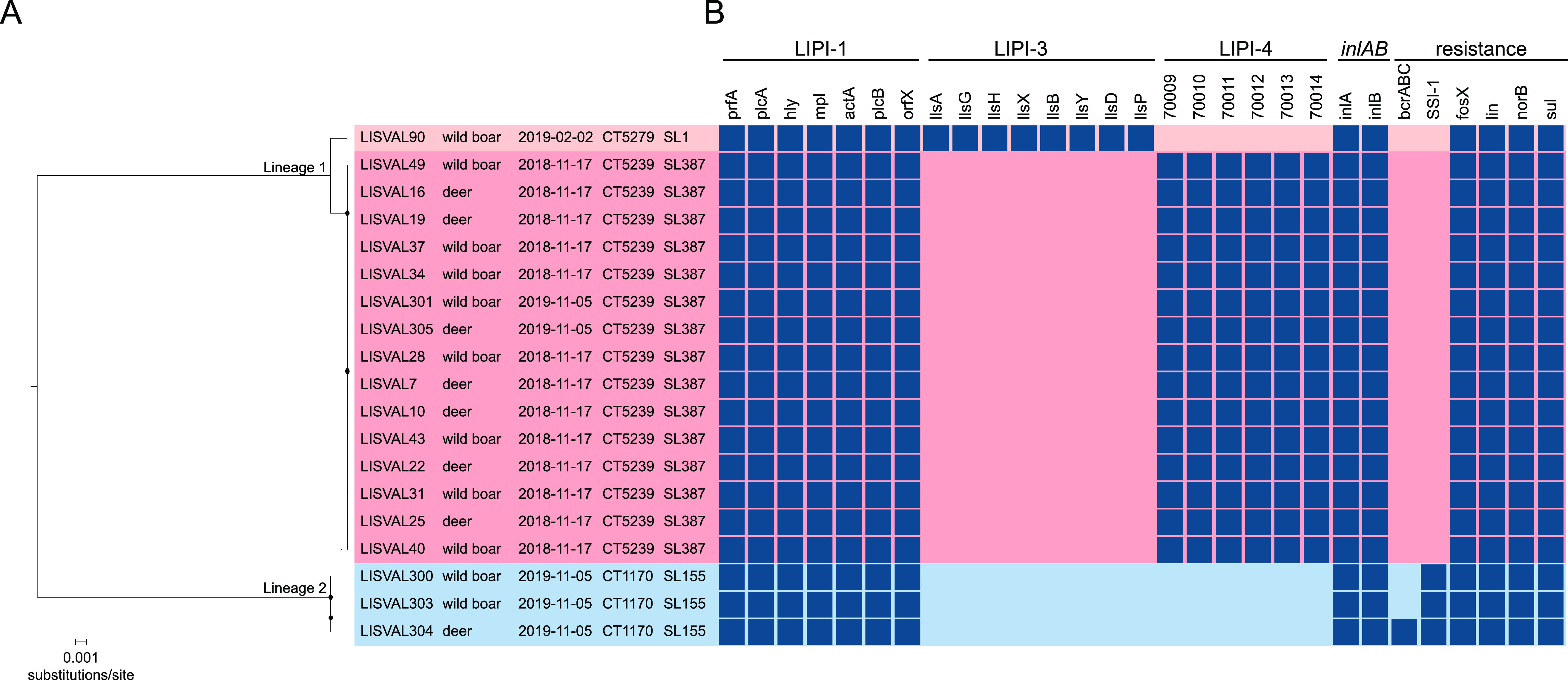 FIG 4