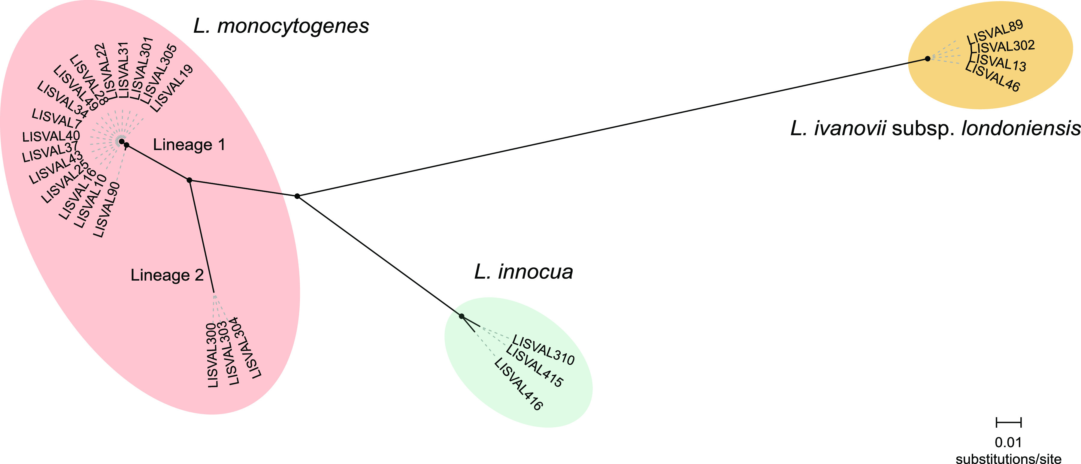 FIG 1