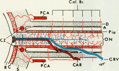 graphic file with name brjopthal00317-0006-a.jpg