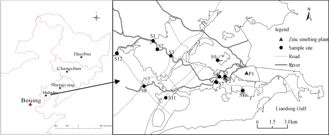 Fig. 1