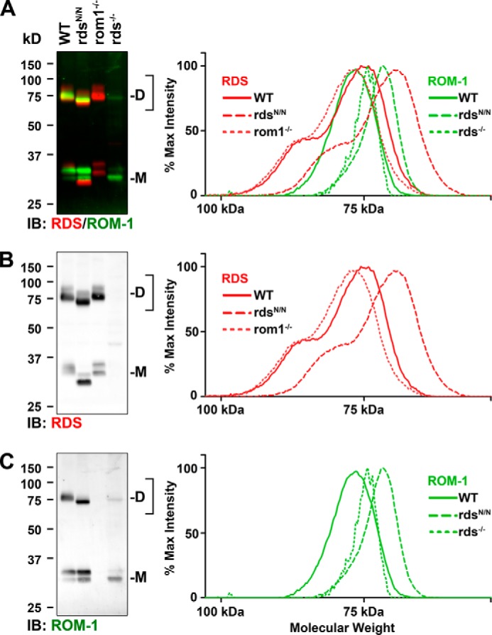 FIGURE 3.