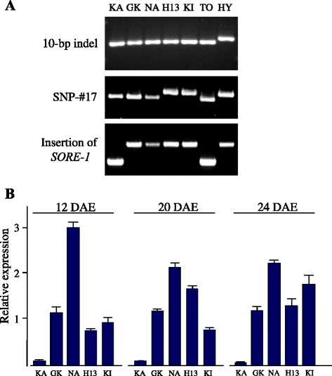 Fig. 5