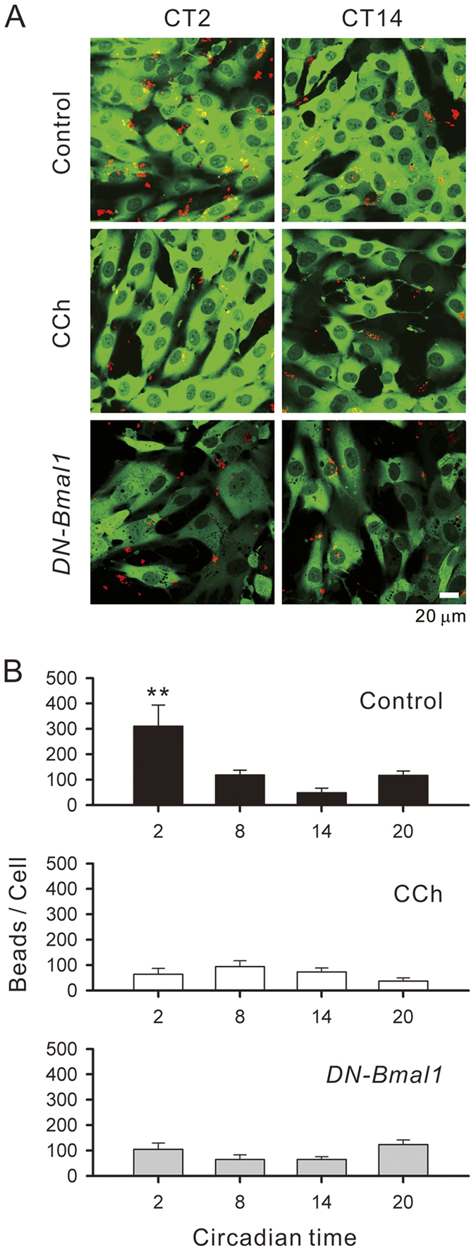 Figure 7