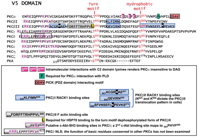 FIG. 6