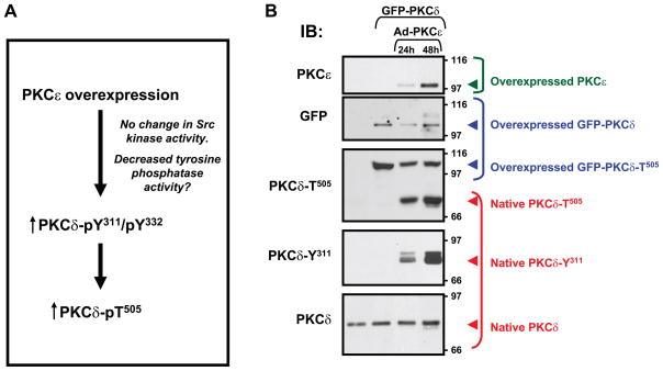 FIG. 7