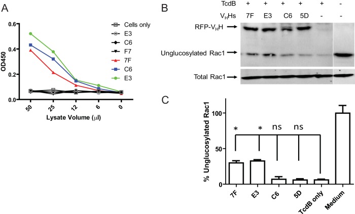 FIG 3