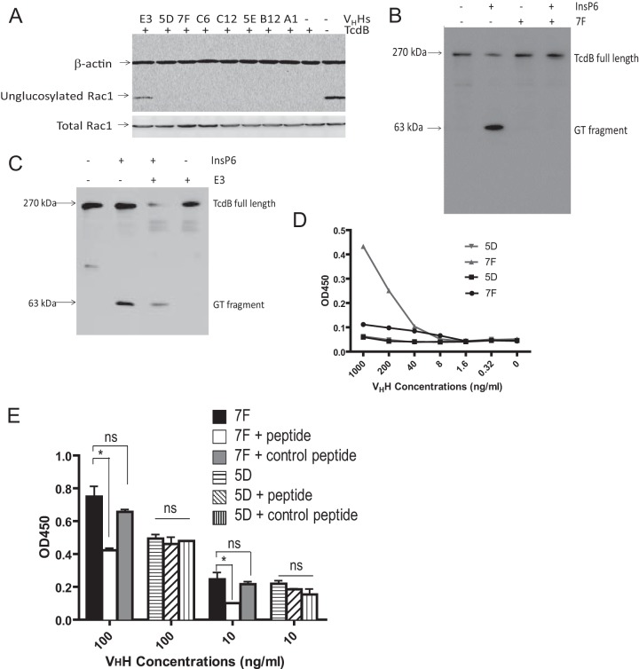 FIG 2