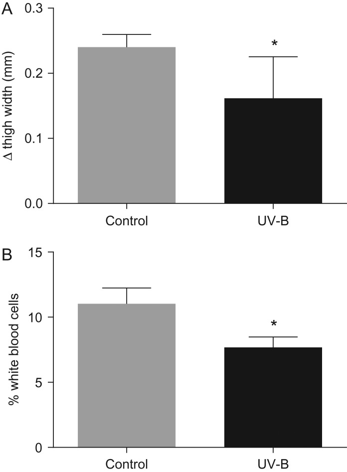 Figure 4: