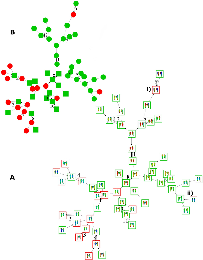 Figure 6