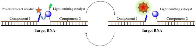 Figure 17