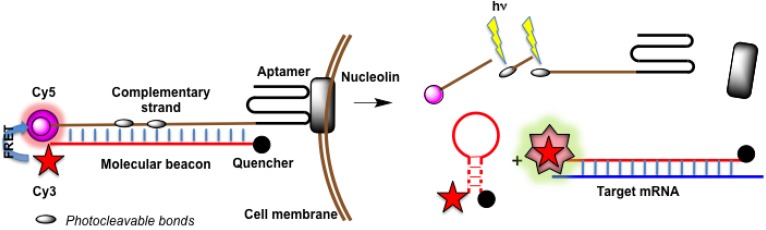 Figure 15