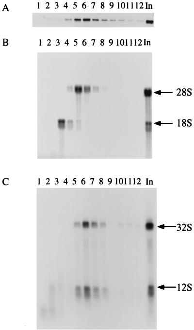 FIG. 11