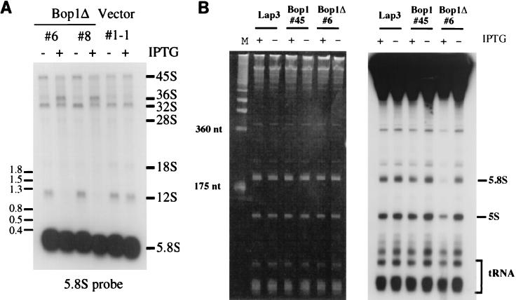 FIG. 8