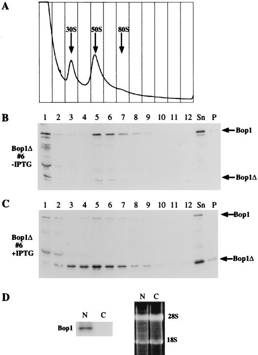 FIG. 10