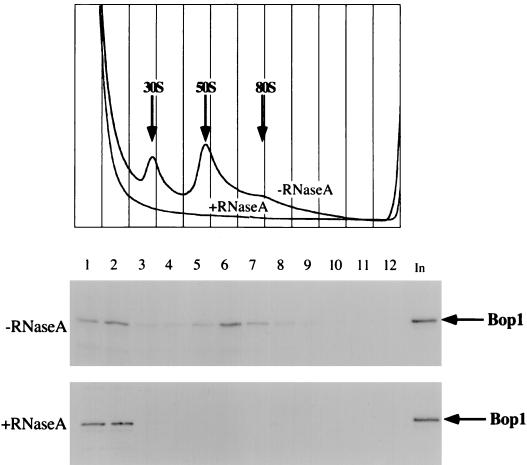 FIG. 12