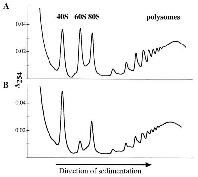 FIG. 9