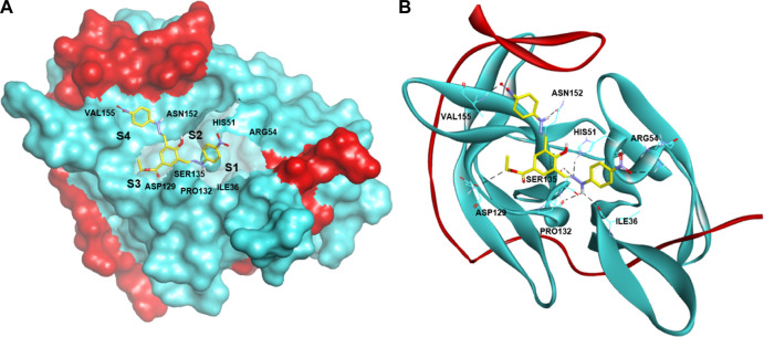 FIGURE 2