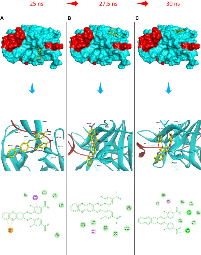 FIGURE 9