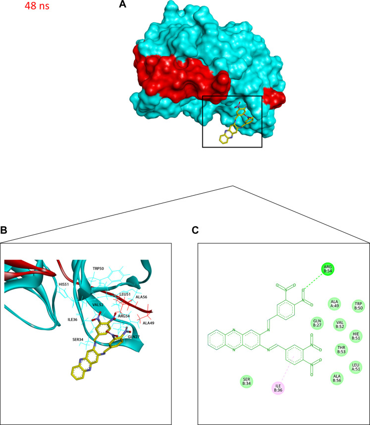 FIGURE 10