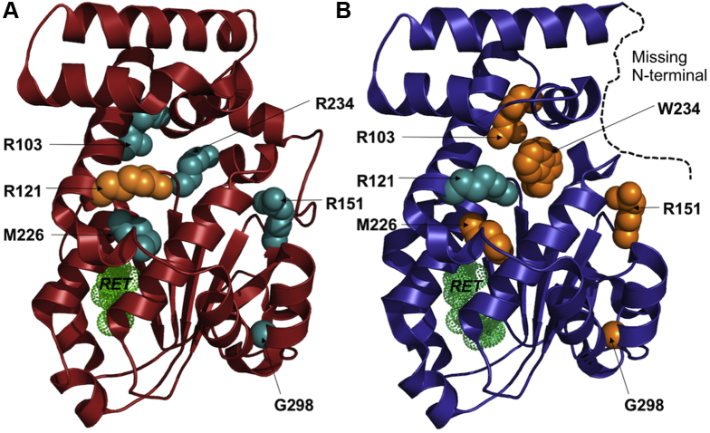 Figure 4