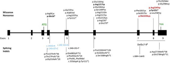 Figure 9