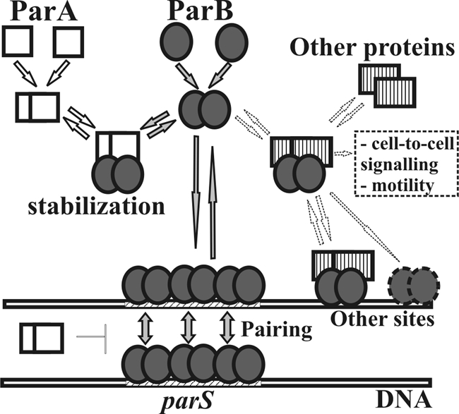 Fig. 4.