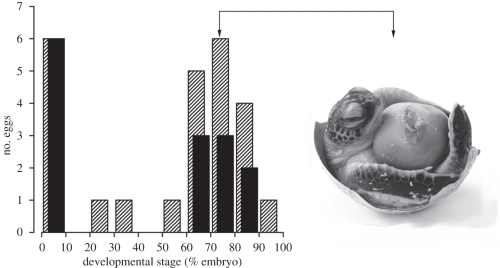 Figure 3.