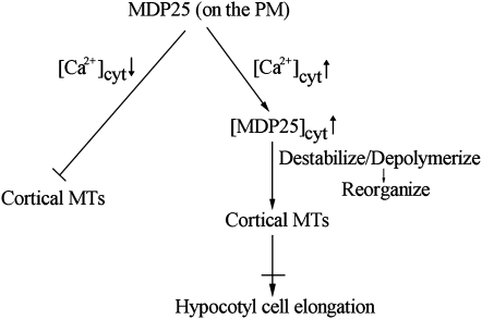 Figure 10.