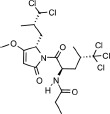graphic file with name AJA-27-144-g027.jpg