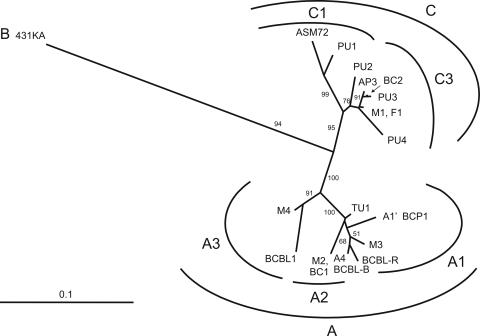 FIG. 3.