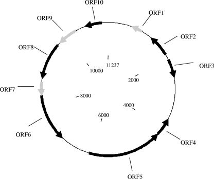 FIG. 2.