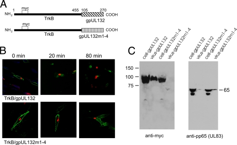 FIG. 9.