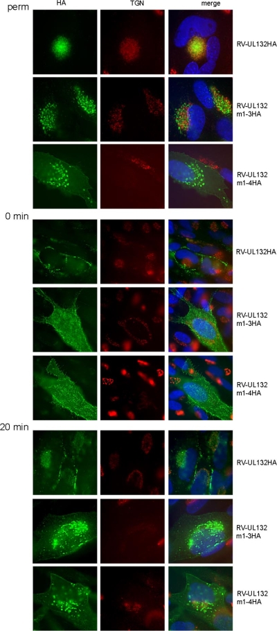 FIG. 7.