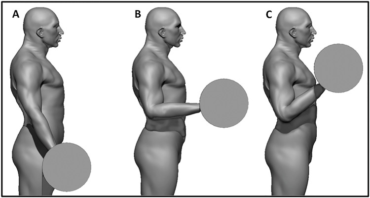 Fig 2