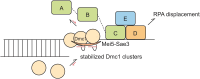 Graphical Abstract