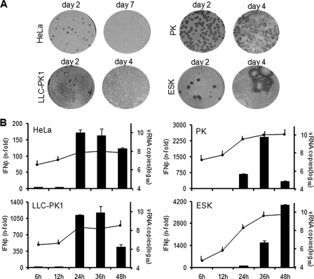 Fig. 3.