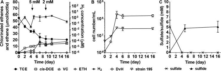 FIG 2