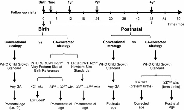 Fig. 1