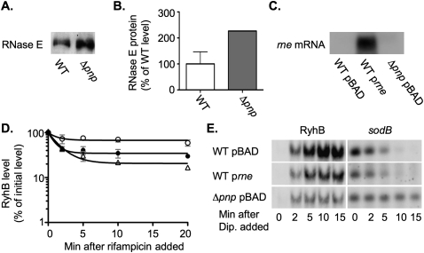 FIGURE 10.